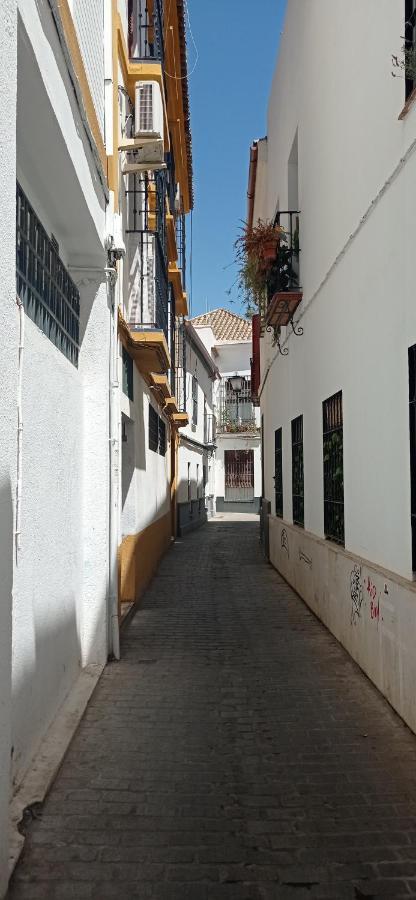 Apartamento Casco Historico Con Atico. Apartman Sevilla Kültér fotó